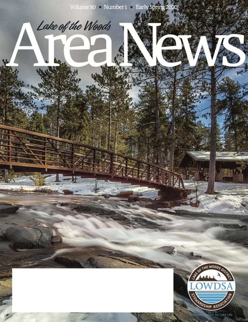 Early Spring 2020 cover