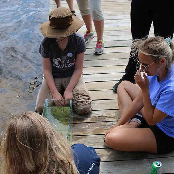Group looking at minnows in a bucket on a dock