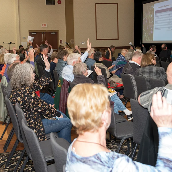 Crowd voting at AGM