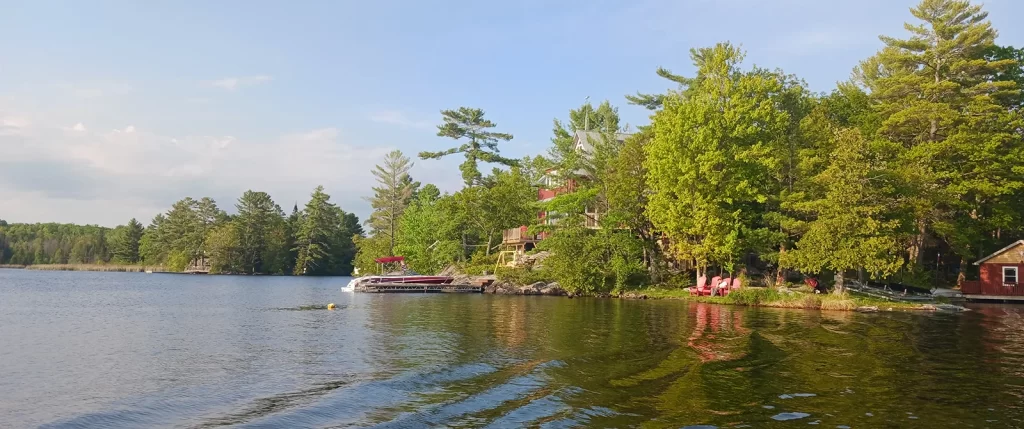 A cottage shoreline in the summer
