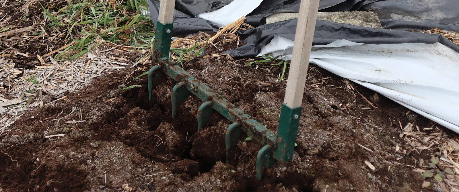 Looking out for the little guys