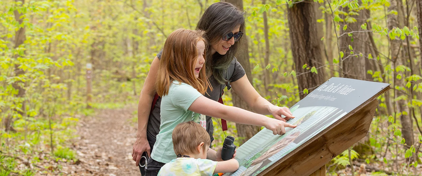 Give northern species the spotlight in NCC’s Big Backyard BioBlitz
