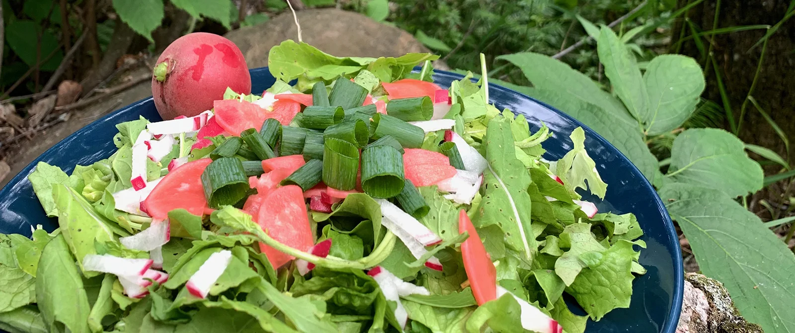 Eating through the seasons