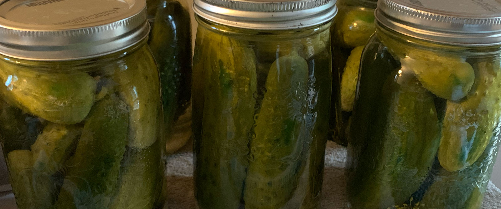 Jars of homemade pickles