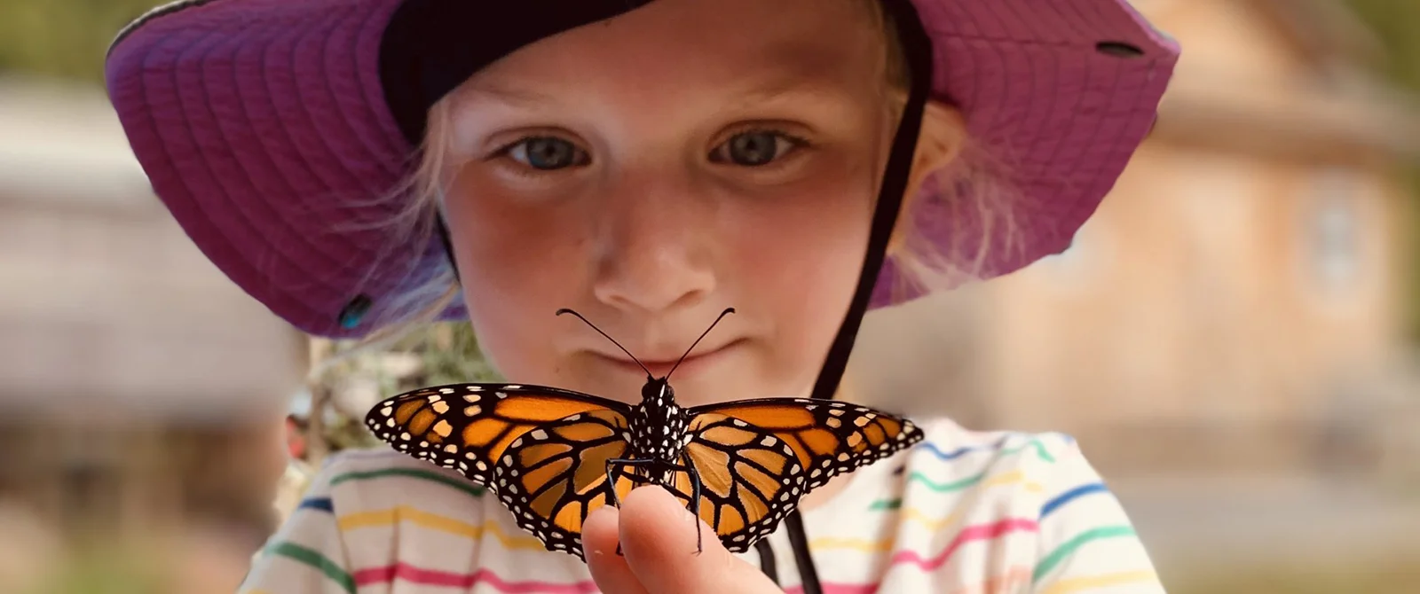 A girl takes a close look at a Monarch butterfly as it rests on her fingertips