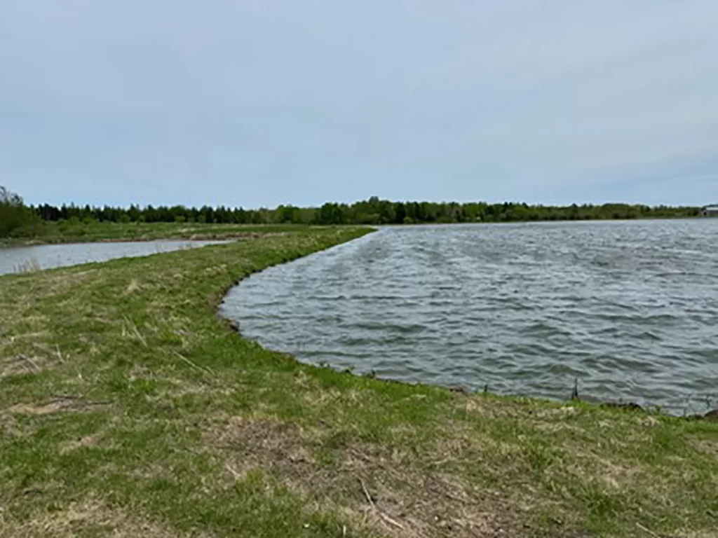 Grassy pathway between two lagoons.