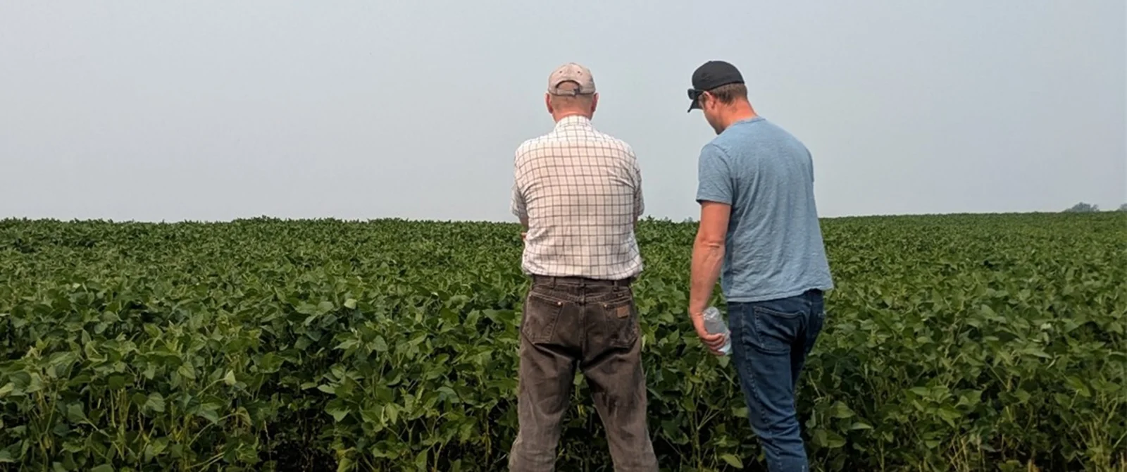 Progress on Canada’s Domestic Phosphorus Management Plan for Lake of the Woods