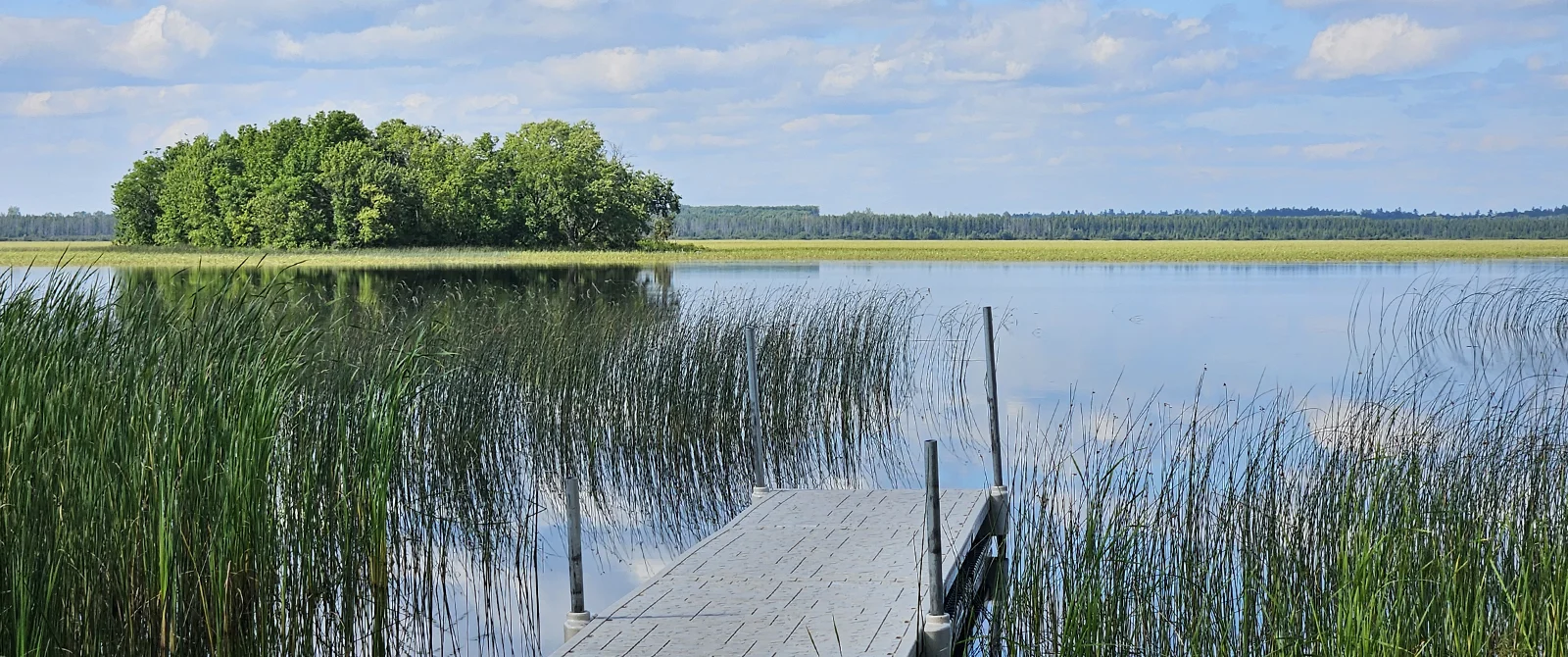 International Watershed Governance Updates